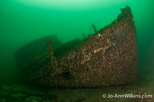 st lawrence river scuba diving