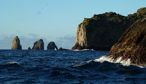 Malpelo island