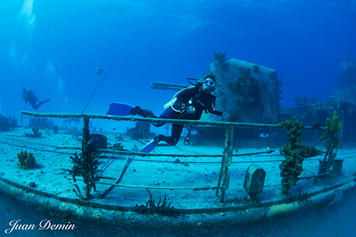 Sony RX-100M2 underwater photo