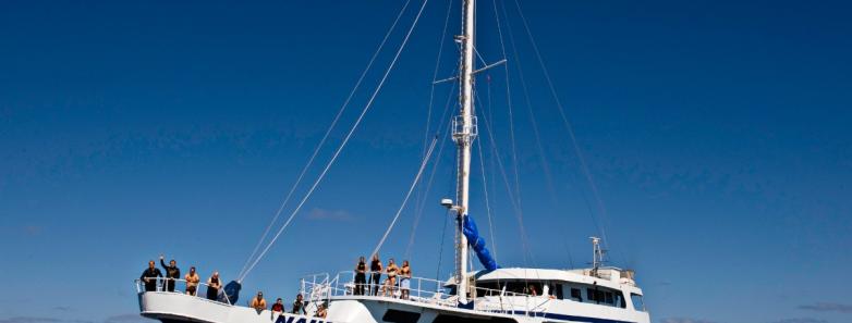 Fiji on the Nai'a Fiji on the Nai'a