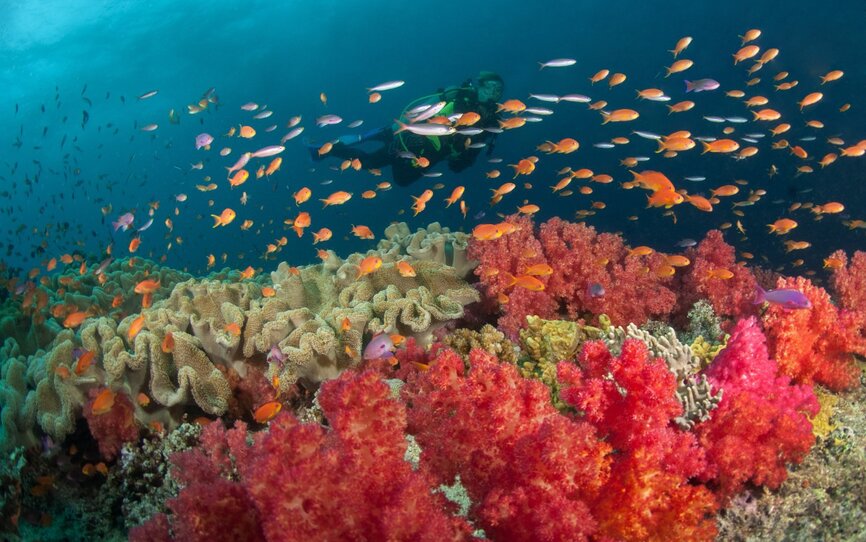 Fiji on the Nai'a Fiji on the Nai'a