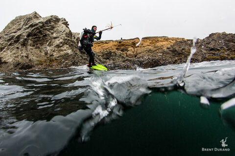 A diver times an entry with a wave in Mendocino County, California. The white cloudy sky and dark water show the less-than-ideal shooting conditions, however add to the ruggedness of the action in the image.