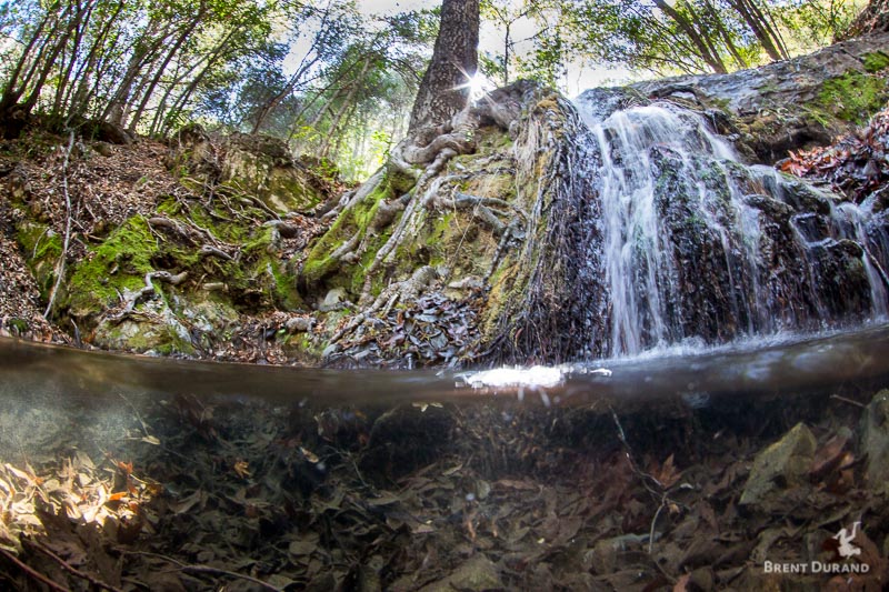 Waterfall in the Los Padres National Forest, California. By stopping down I was able to capture the detail above and below water, as well as the sunburst. To expose the scene properly, I had to bump the ISO up to 1250 with a shutter speed of 1/5. This scene is an exception to the fast shutter speed rule above because I wanted a blur effect on the waterfall (using a tripod to minimize shake/movement). Over-Under Split-Shot