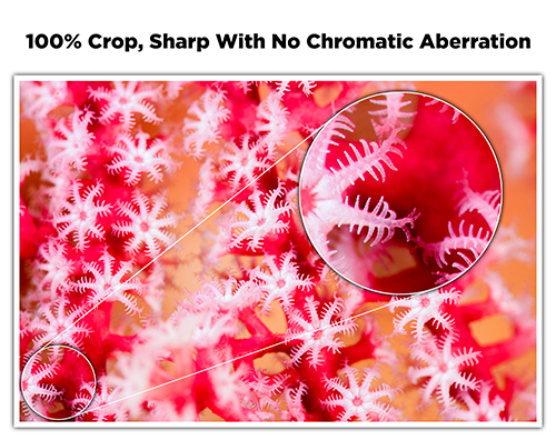 Nauticam Macro Converter