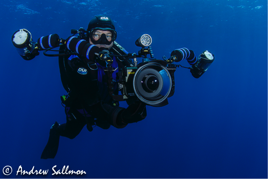 Beneath the Surface Floats