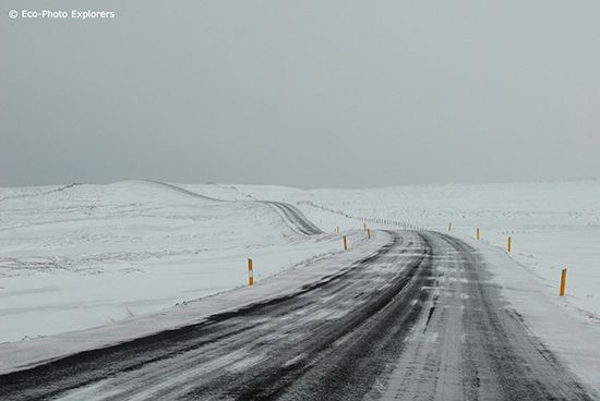 Scuba Diving Iceland