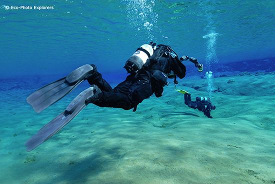 Scuba Diving Iceland