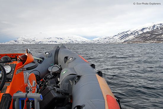 Scuba Diving Iceland