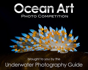 Ocean Art underwater photo competition logo