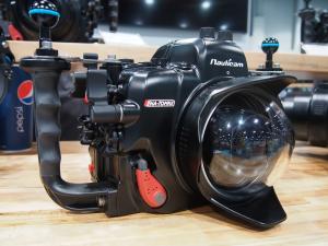 Canon 7D Mark II Review for Underwater Photography - Underwater