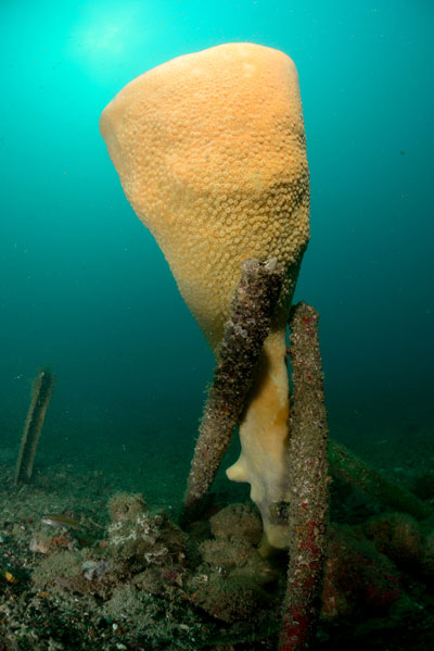 Sisters Islands Marine Park