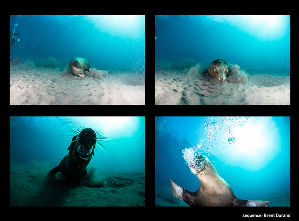 Sea&Sea YS-D2 recycle time