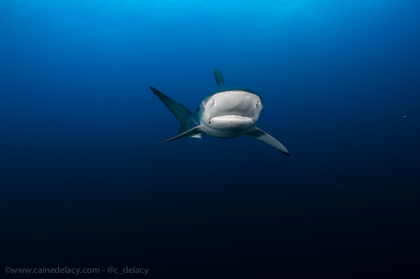 Nikon D300, Tokina 10-17, ISO 200, 11mm, 1/250 at f/8