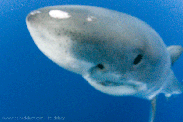 Nikon D300, Tokina 10-17, ISO 200, 10mm, 1/250 at f/9