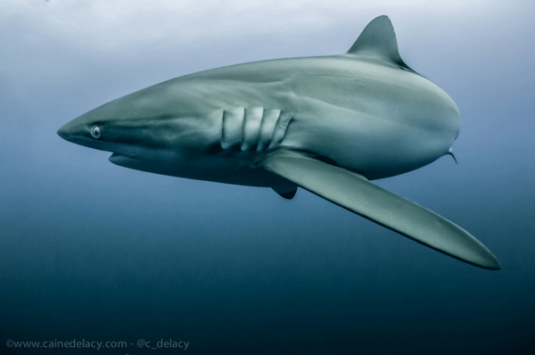 Nikon D300, Tokina 10-17, ISO 200, 10mm, 1/250 at f/8