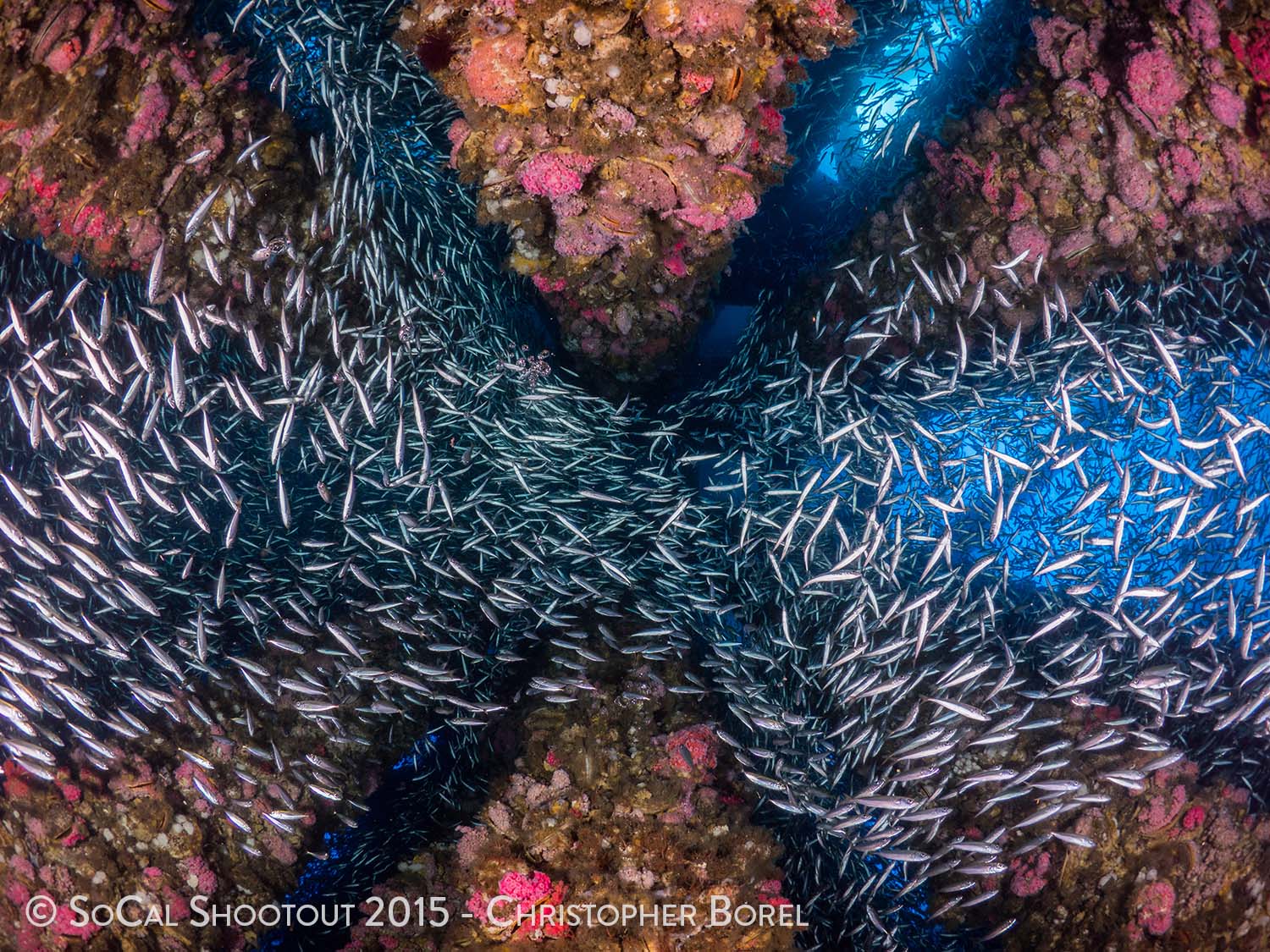 1st Place Mirrorless Wide-Angle. Photo: Christopher Borel