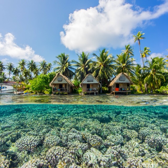 Olympus E-M1, Nauticam Housing, 7-14mm lens in Fakarava, French Polynesia. Photo by Carolyn Wang Panasonic 7-14mm over/under shop