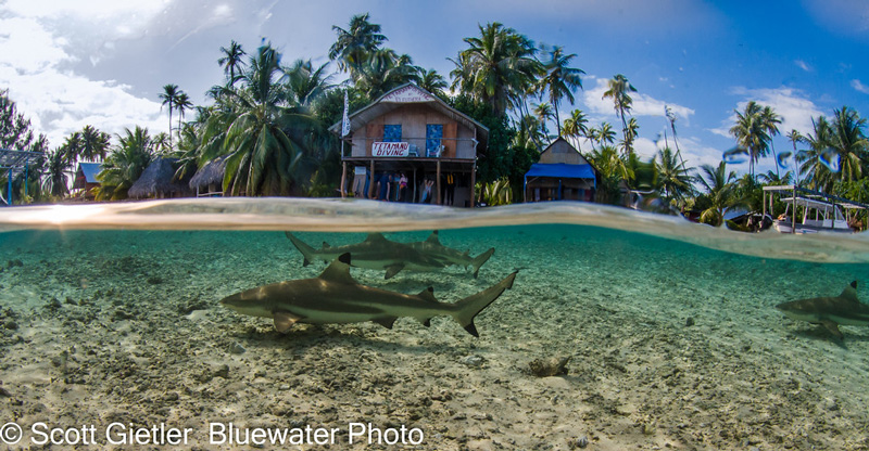 The beautiful scenery in French Polynesia. Photo: Scott Gietler