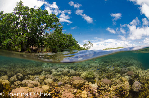 The scenery in the Solomon Islands is as incredible topside as underwater. Photo: Jo O’Shea