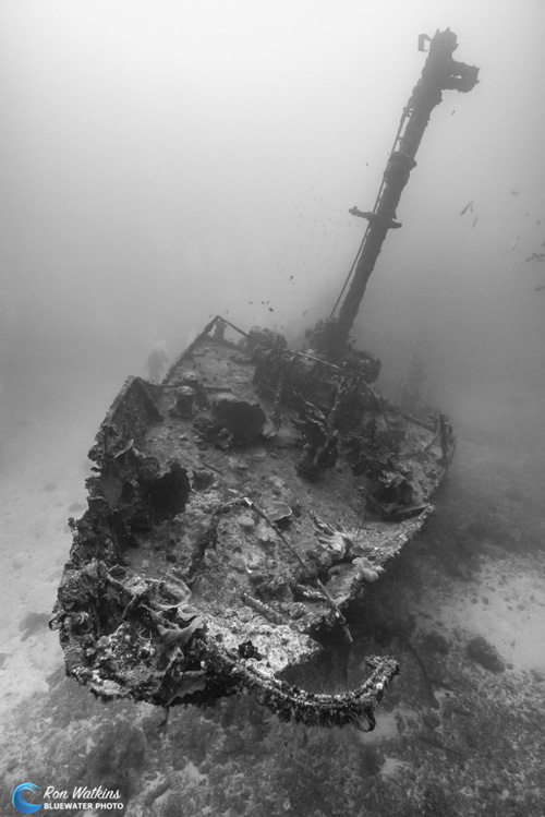 Plenty of shipwrecks await visiting underwater photographers. Photo: Ron Watkins