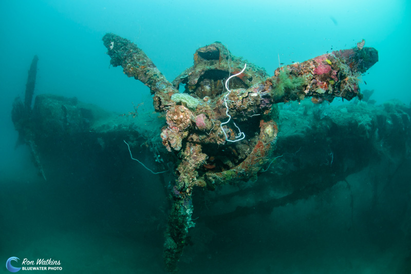 Wrecks aplenty for WWII history buffs. Photo: Ron Watkins