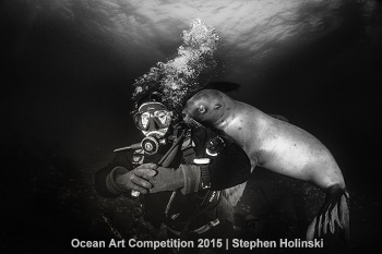 "Friends" 2nd Place - Stephen Holinski