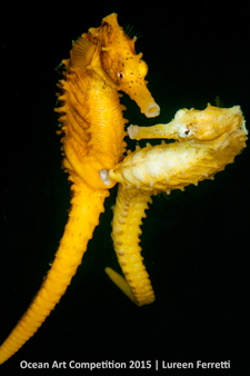 "The Delivery" 2nd Place - Lureen Ferretti