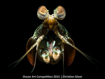 "Spooky" 2nd Place - Christian Gloor