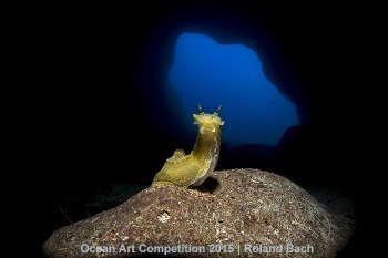 "My Cave" 2nd Place - Roland Bach