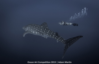 "Coexist" 2nd Place - Adam Martin