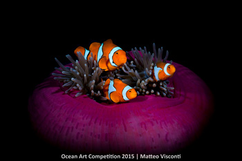 "Nemo is in Da House" 2nd Place - Matteo Visconti