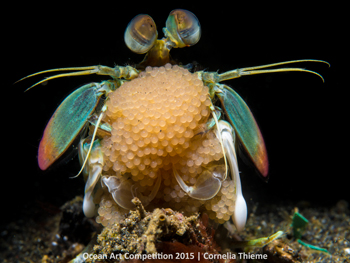 "Motherhood" 3rd Place - Cornelia Thieme