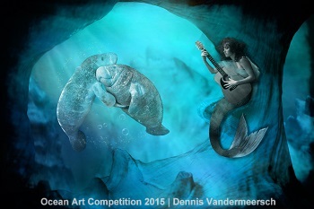 "The Dancing Manatees" 3rd Place - Dennis Vandermeersch