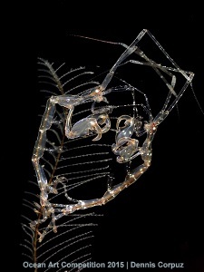 "Boxing Skeleton" 4th Place - Dennis Corpuz