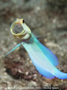 "A Father’s Burden" 5th Place - Henley Spiers