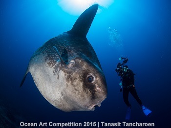 "Mola Encounter" 5th Place - Tanasit Tancharoen