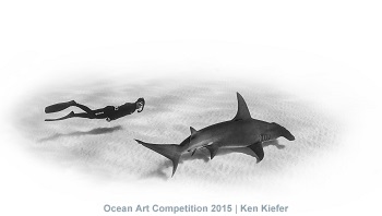 "CoExist" 5th Place - Ken Kiefer