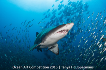 "Taking Center Stage" 5th Place - Tanya Houppermans