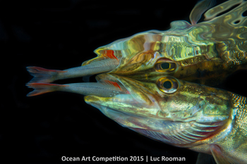 "Golfing on Ice" 5th Place - Morten Beier