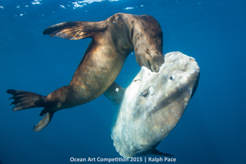 "Battle on the Nine" 6th Place - Ralph Pace