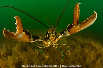 "Lobster Attack" 2nd - Uwe Schmolke