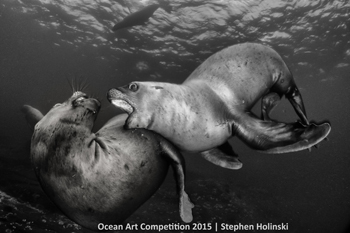 "Play" HM – Stephen Holinski