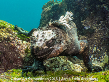 "Imp of Darkness" HM – Sarah Stein