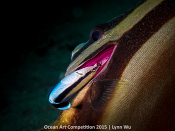 "Symbiotic Relationship" HM – Lynn Wu