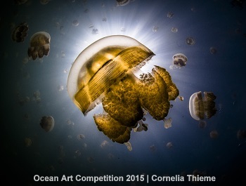 "Golden Jelly" HM – Cornelia Thieme
