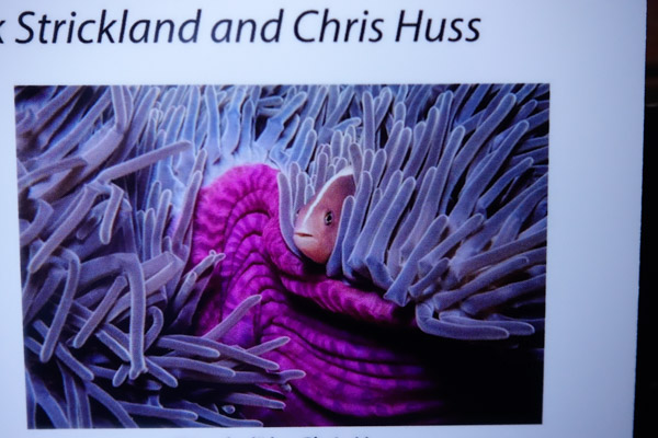 Subsee +5 at 70mm Sony RX100 IV Nauticam CMC tests