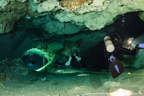 The group follows the Barbie Line in Dos Ojos. ISO 6400, f/5, 1/20