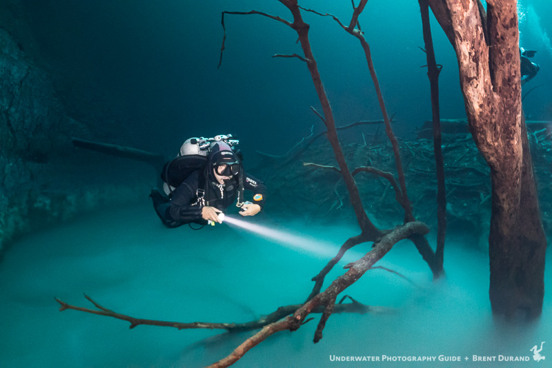 Our guide Cesar swims around a fallen tree in Angelita cenote. ISO 6400, f/5.6, 1/40