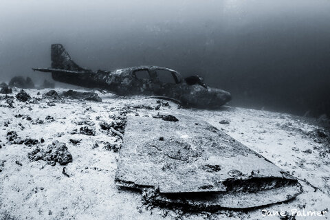 Is there a body still in that plane? – by workshop guest Jane Palmer. ISO 640, F/8, 1/160