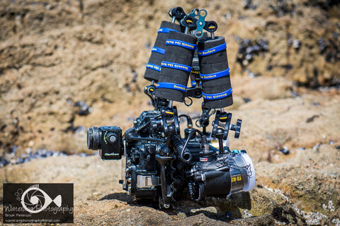Brook's Nikon D810 and Sea&Sea underwater camera rig.